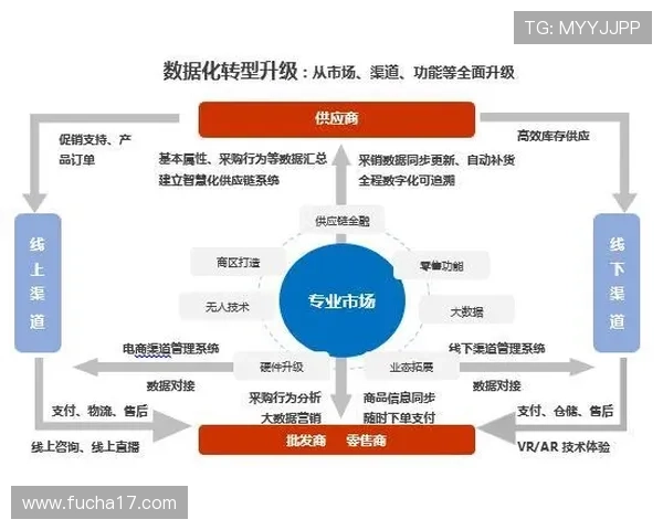 成都乒乓球队转型之路的挑战与机遇全景解析
