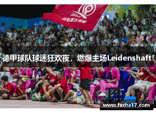 德甲球队球迷狂欢夜，燃爆主场Leidenshaft！