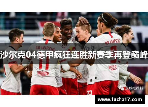 沙尔克04德甲疯狂连胜新赛季再登巅峰